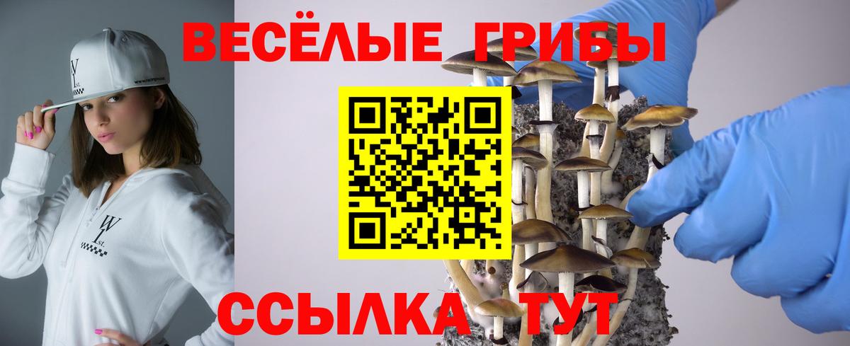 Псилоцибиновые грибы ЛСД  Вход с VPN  Жуковский  Псилоцибиновые грибы Cubensis 